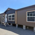 the shoshone 1