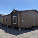 the shoshone