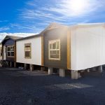 the shoshone 41