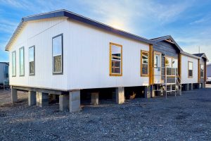 the shoshone 42